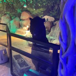 -酷嗒动物文化乐园(cutezoo西溪乐天城店)