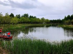 -东郊湿地公园