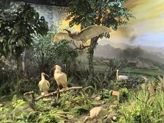 -陕西自然博物馆