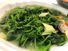 益母草-东江海鲜酒家(艺都分店)
