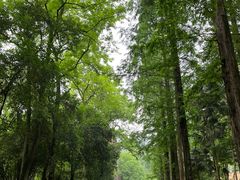 -岳麓山风景名胜区