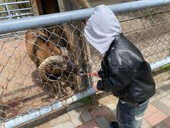 -长白岛森林公园