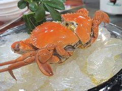 -顺德了能馆(虎门店)