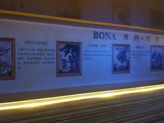 -博纳国际影城IMAX(中央大道店)