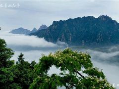 -鸿运楼·舌尖上的徽菜