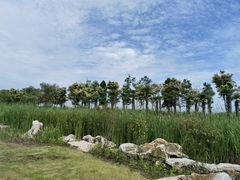 -春花秋色城市公园