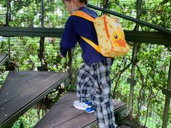 -三鹰之森吉卜力美术馆