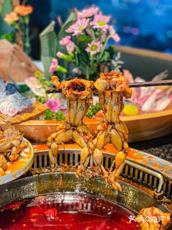 5️⃣折吃美蛙鱼，都给我冲️