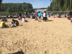 -大兴滨河森林公园