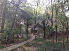 -蜀冈西峰生态公园