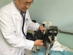 -纳吉亚猫专科动物医院博雅分院