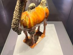 -贵州省博物馆(新馆)