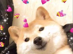 -蛙喔牛蛙(仙林万达茂店)