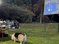 -四明山国家森林公园