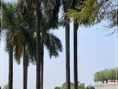 -广州莲花山旅游区