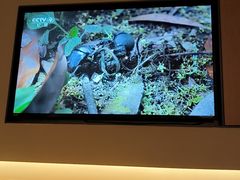 -全季酒店(重庆李子坝牛角沱地铁站店)