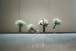 -西安威斯汀大酒店·宴会厅