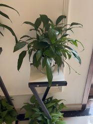 -香秀空间科技抗衰·美容中心