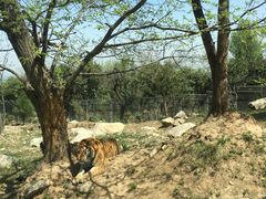 -西安秦岭野生动物园