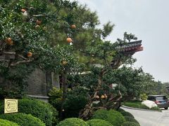 -西安华清御汤酒店