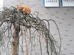 厚学楼-河海大学(江宁校区)