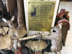 -乔家满族八大碗(流水沟店)