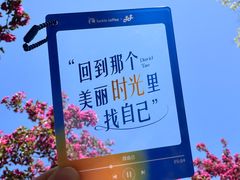 -南翠屏公园