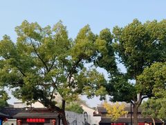 -绍兴鲁迅故里·沈园景区