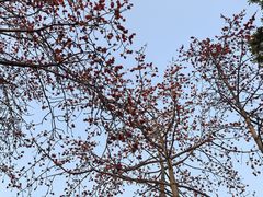 -点都德(广州白云山景区南门店)