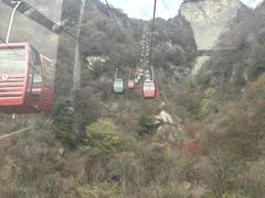 -王顺山国家森林公园