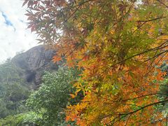 -雁荡山风景名胜区