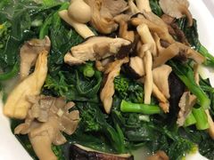 浓汤野菌浸菜心-稻香(沙田店)