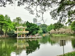 -晓港公园