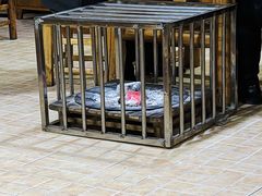 -张关合渣(航空大道店)