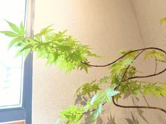 -十二舍·湯物素煮(江泰潤政店)