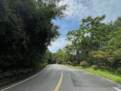 -铁山坪森林公园