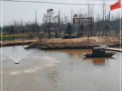 -大队长大灶鹅
