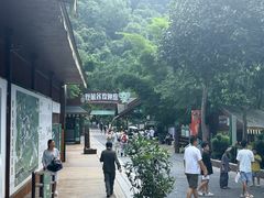 -野象谷景区