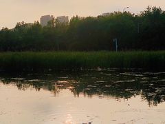 -前关湿地公园