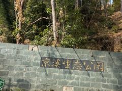 -广州神农草堂中医药博物馆