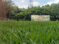 -广州长隆飞鸟乐园