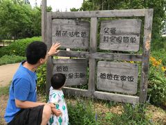 -前小桔亲子创意农场·草莓采摘·露营烧烤