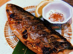 盐烤青花鱼-爱米粒家