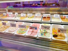 -Dooley's Premium Ice Cream