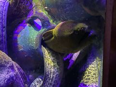 -太平洋海底世界