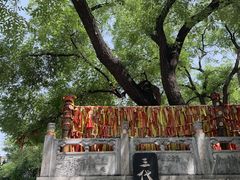 -大槐树寻根祭祖园
