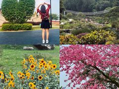 -东莞植物园