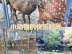 -长白岛森林公园