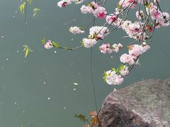 -水绘园