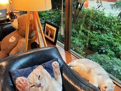 -咖法森林·咖啡  酒吧(天河店)